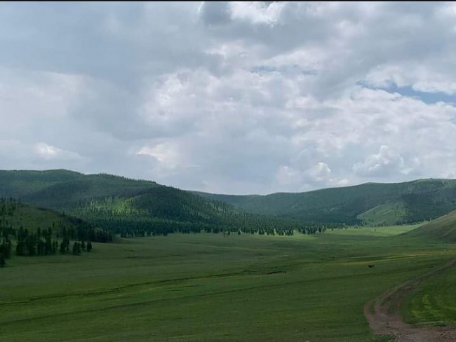 Ötüken Ormanı'ndan bir görüntü. | Fotoğraf: Prof. Dr. Ahmet Taşağıl